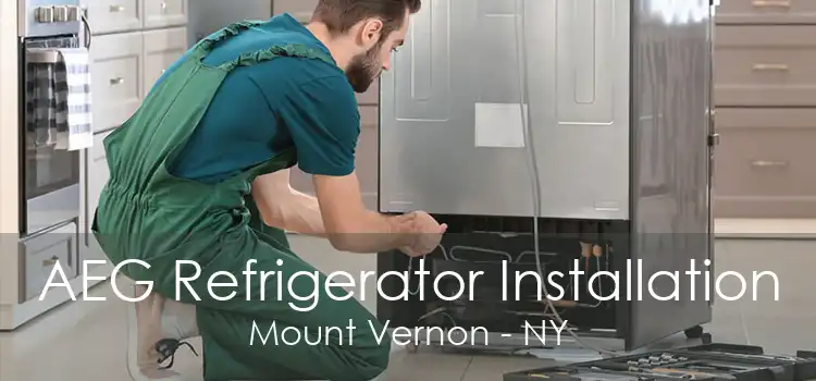 AEG Refrigerator Installation Mount Vernon - NY
