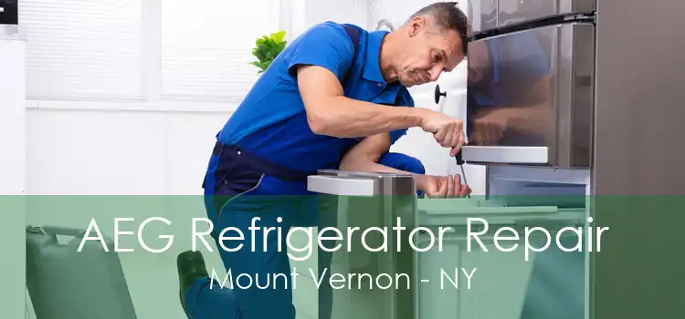 AEG Refrigerator Repair Mount Vernon - NY