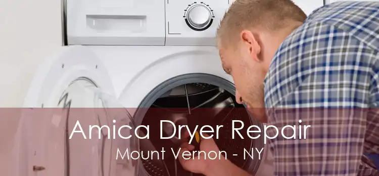 Amica Dryer Repair Mount Vernon - NY