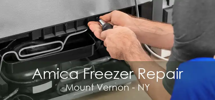 Amica Freezer Repair Mount Vernon - NY