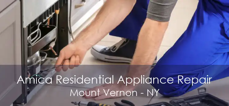 Amica Residential Appliance Repair Mount Vernon - NY