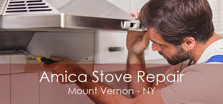 Amica Stove Repair Mount Vernon - NY