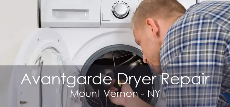 Avantgarde Dryer Repair Mount Vernon - NY