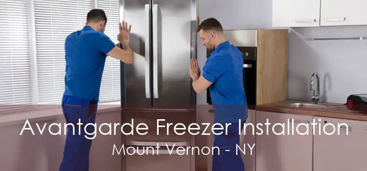 Avantgarde Freezer Installation Mount Vernon - NY