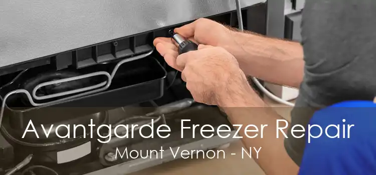 Avantgarde Freezer Repair Mount Vernon - NY
