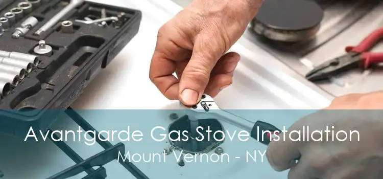 Avantgarde Gas Stove Installation Mount Vernon - NY