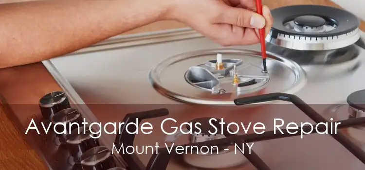 Avantgarde Gas Stove Repair Mount Vernon - NY