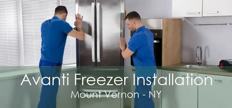 Avanti Freezer Installation Mount Vernon - NY