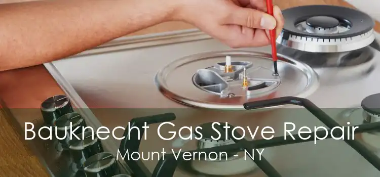 Bauknecht Gas Stove Repair Mount Vernon - NY