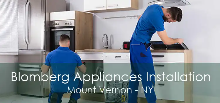 Blomberg Appliances Installation Mount Vernon - NY