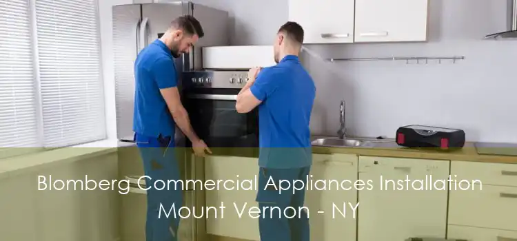 Blomberg Commercial Appliances Installation Mount Vernon - NY