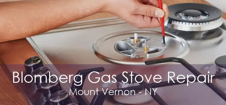 Blomberg Gas Stove Repair Mount Vernon - NY