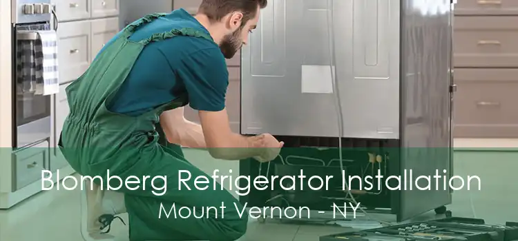 Blomberg Refrigerator Installation Mount Vernon - NY