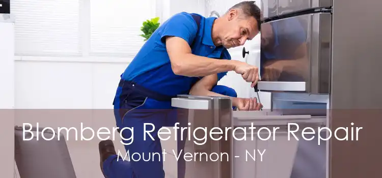 Blomberg Refrigerator Repair Mount Vernon - NY