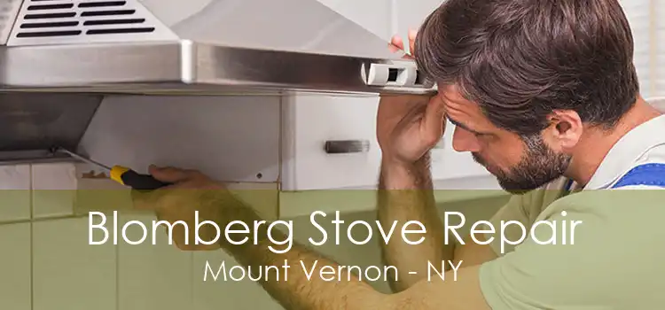Blomberg Stove Repair Mount Vernon - NY
