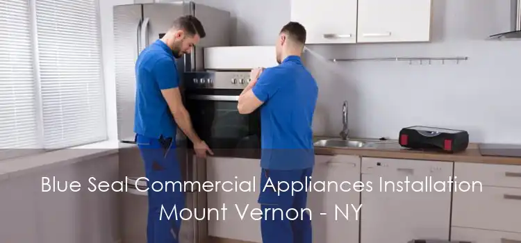 Blue Seal Commercial Appliances Installation Mount Vernon - NY