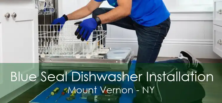 Blue Seal Dishwasher Installation Mount Vernon - NY