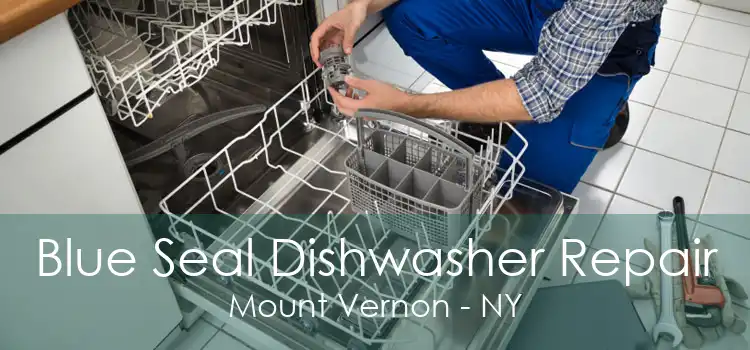 Blue Seal Dishwasher Repair Mount Vernon - NY