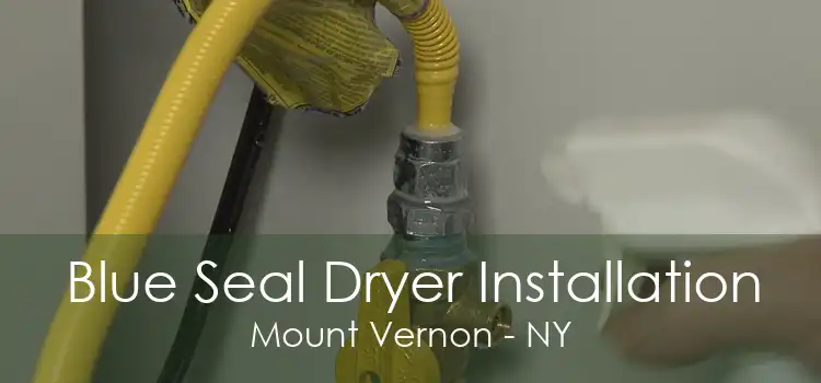 Blue Seal Dryer Installation Mount Vernon - NY