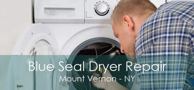 Blue Seal Dryer Repair Mount Vernon - NY