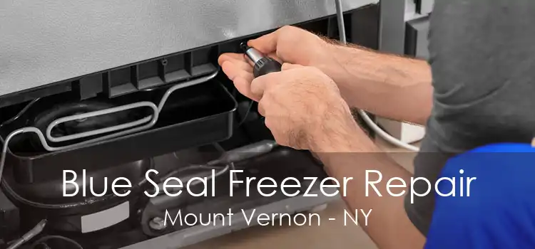 Blue Seal Freezer Repair Mount Vernon - NY