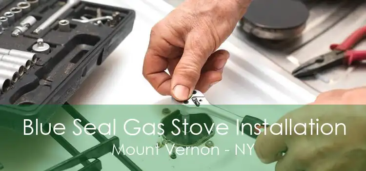 Blue Seal Gas Stove Installation Mount Vernon - NY