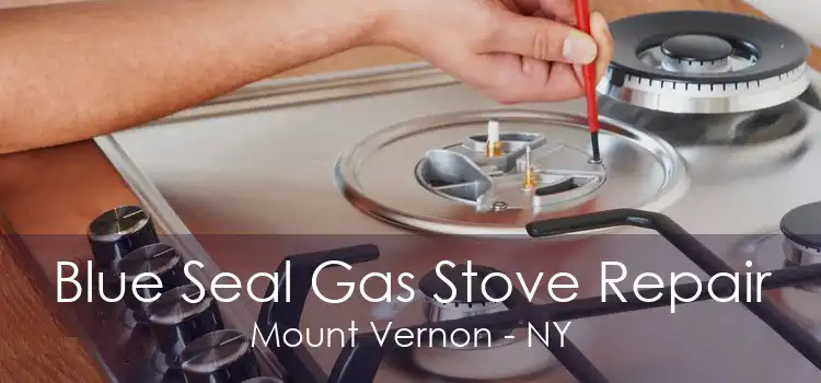 Blue Seal Gas Stove Repair Mount Vernon - NY