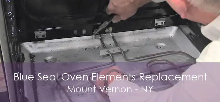 Blue Seal Oven Elements Replacement Mount Vernon - NY