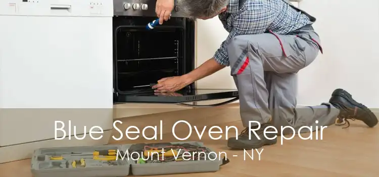 Blue Seal Oven Repair Mount Vernon - NY
