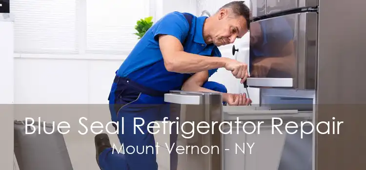 Blue Seal Refrigerator Repair Mount Vernon - NY