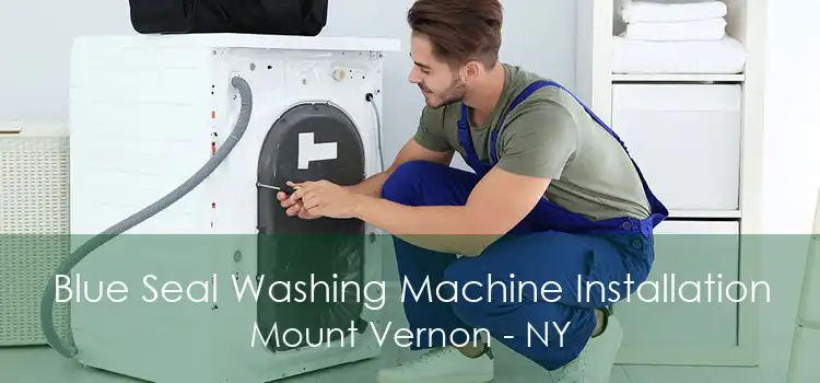 Blue Seal Washing Machine Installation Mount Vernon - NY