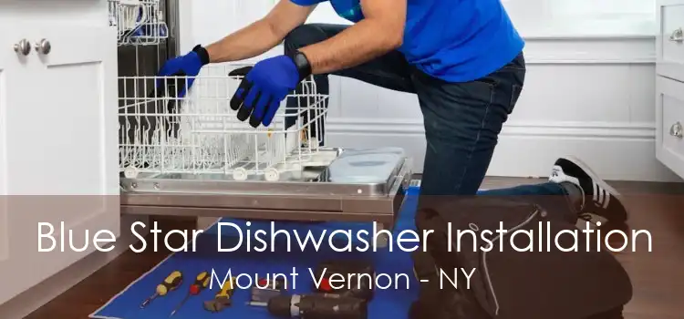 Blue Star Dishwasher Installation Mount Vernon - NY