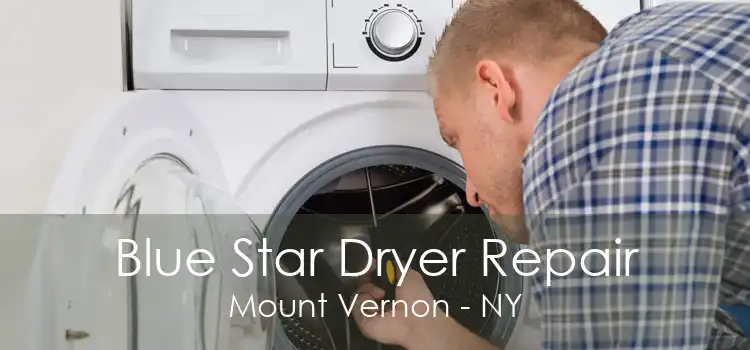 Blue Star Dryer Repair Mount Vernon - NY