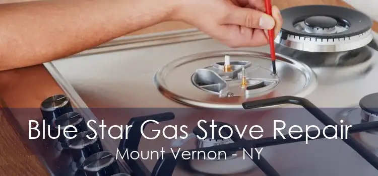 Blue Star Gas Stove Repair Mount Vernon - NY
