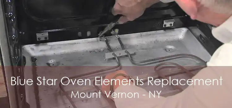 Blue Star Oven Elements Replacement Mount Vernon - NY