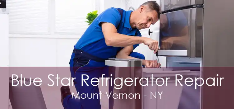 Blue Star Refrigerator Repair Mount Vernon - NY