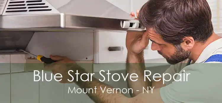 Blue Star Stove Repair Mount Vernon - NY