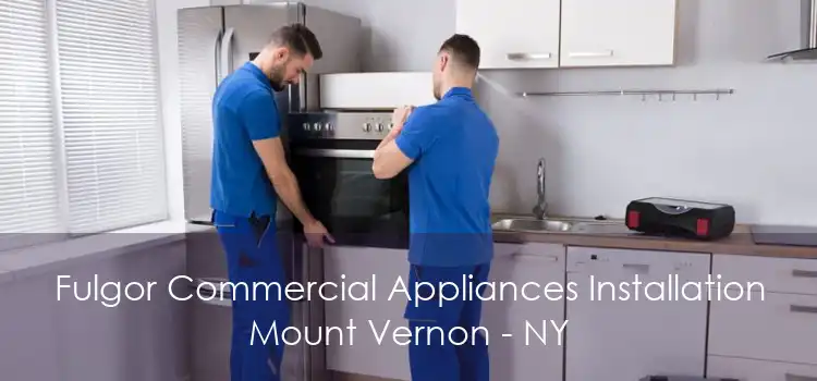 Fulgor Commercial Appliances Installation Mount Vernon - NY