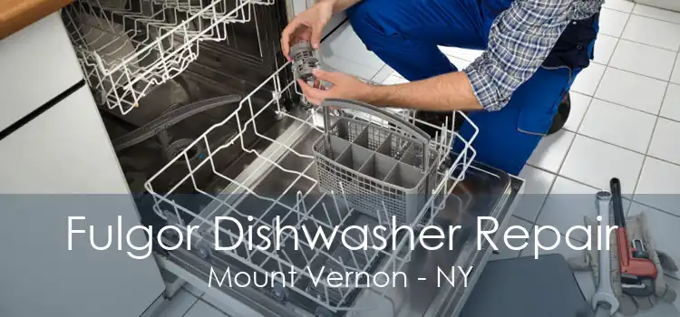 Fulgor Dishwasher Repair Mount Vernon - NY