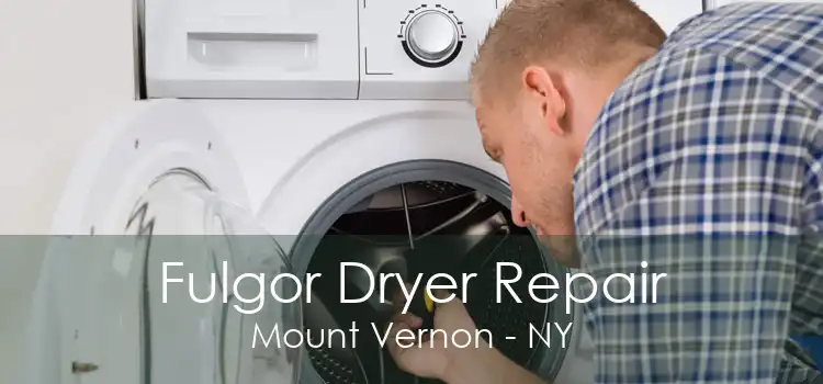 Fulgor Dryer Repair Mount Vernon - NY
