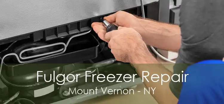 Fulgor Freezer Repair Mount Vernon - NY