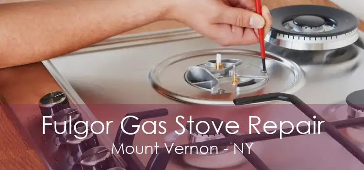 Fulgor Gas Stove Repair Mount Vernon - NY