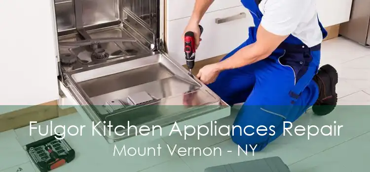 Fulgor Kitchen Appliances Repair Mount Vernon - NY
