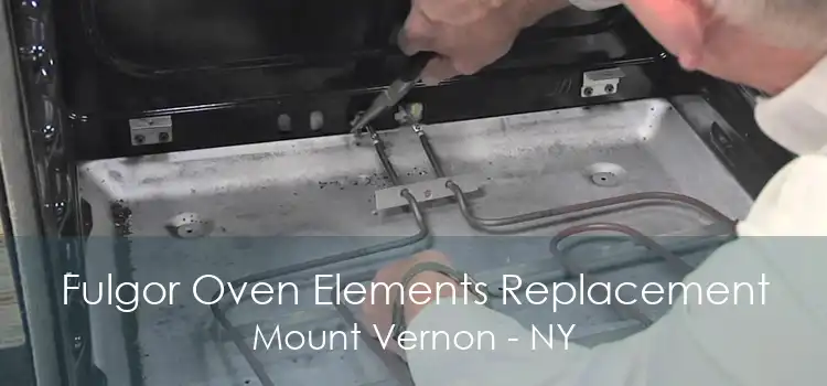 Fulgor Oven Elements Replacement Mount Vernon - NY