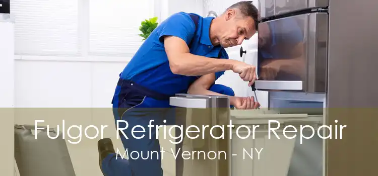 Fulgor Refrigerator Repair Mount Vernon - NY