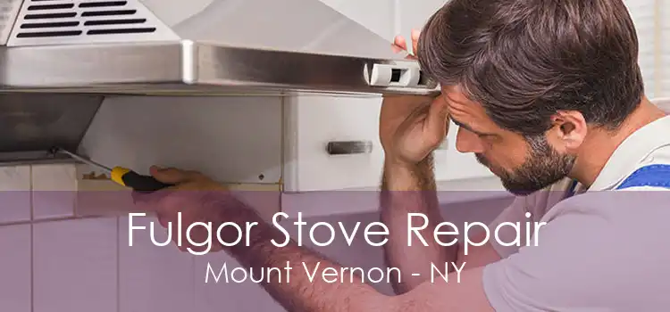 Fulgor Stove Repair Mount Vernon - NY