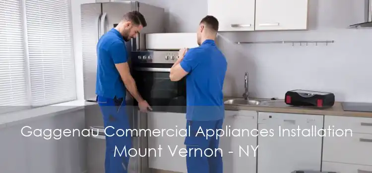 Gaggenau Commercial Appliances Installation Mount Vernon - NY