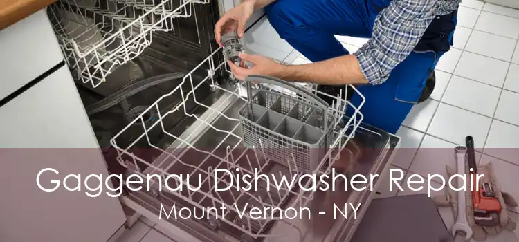 Gaggenau Dishwasher Repair Mount Vernon - NY
