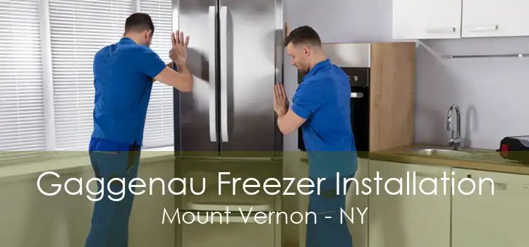 Gaggenau Freezer Installation Mount Vernon - NY