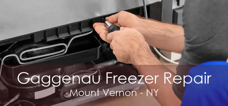 Gaggenau Freezer Repair Mount Vernon - NY